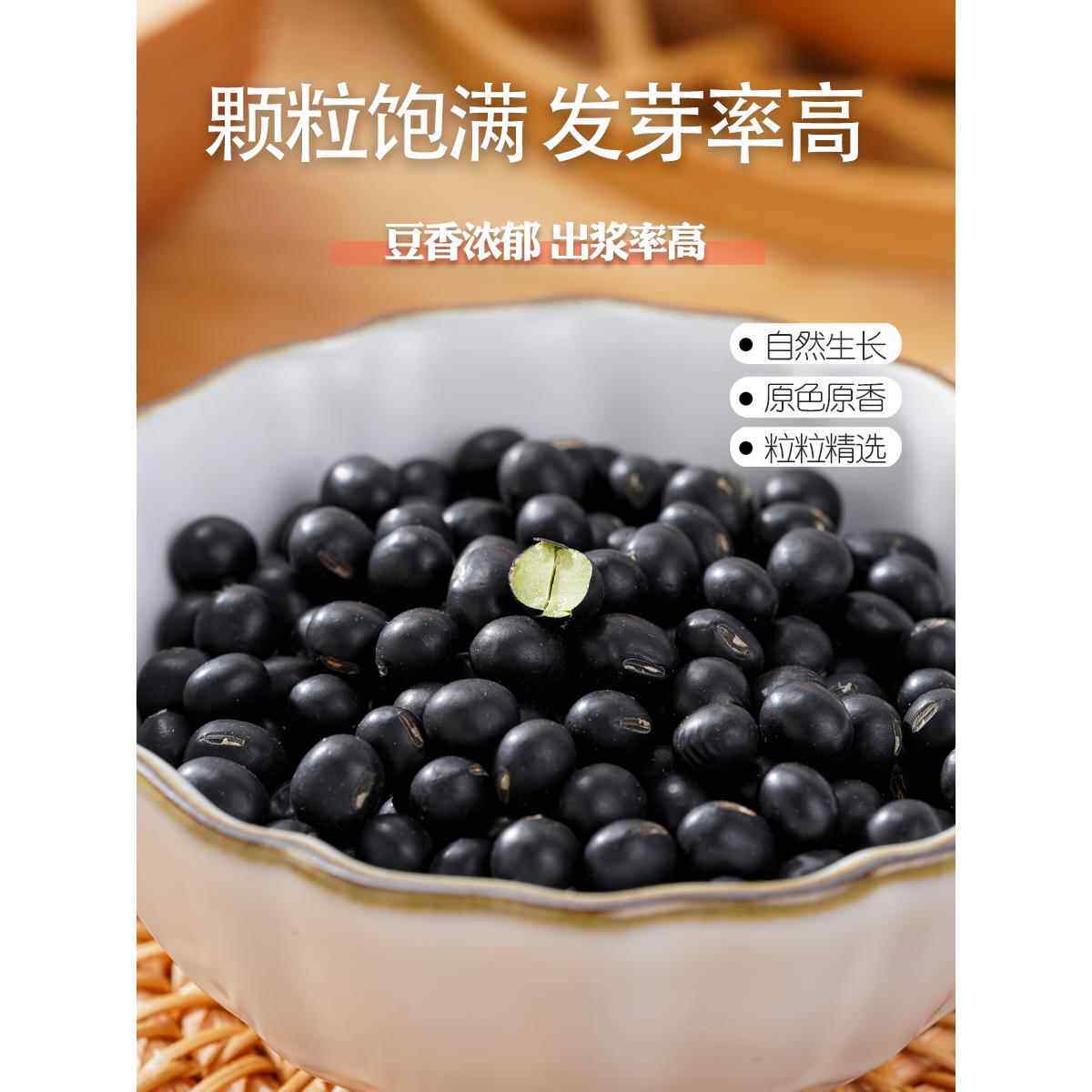 绿心黑豆有哪些优点？适合用来打豆浆吗？