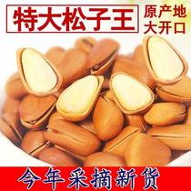 Open pine nuts new arrival original large grain Northeast specialty pine tree seeds hand peeled red pine nuts