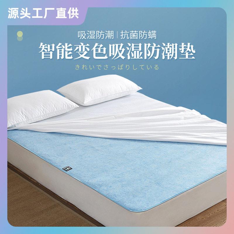 Cross-Border Trade Japanese Amazon Mattress Moisture-Absorbing and Moisture-Proof Pad for Indoor Beds Contains Color-Changing Card and Silicone