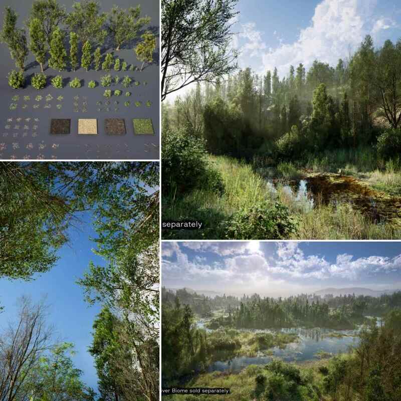Unreal Engine 5 Poplar Forest Procedural Biome Trees Vegetation Jungle 3D Realistic Asset Model Environment Unreal Engine 5 Poplar Forest Procedural Biome Trees Vegetation Jungle 3D Realistic Asset Model Environment
