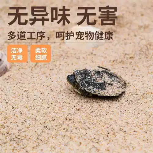 Натуральная пляжная игрушка, песок, натуральный зимний декор для аквариума