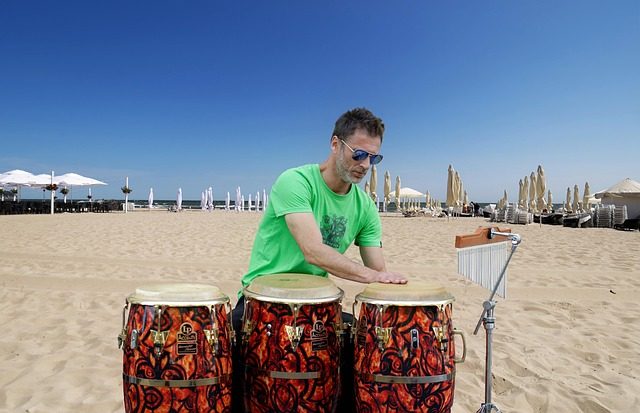 who drums for the who