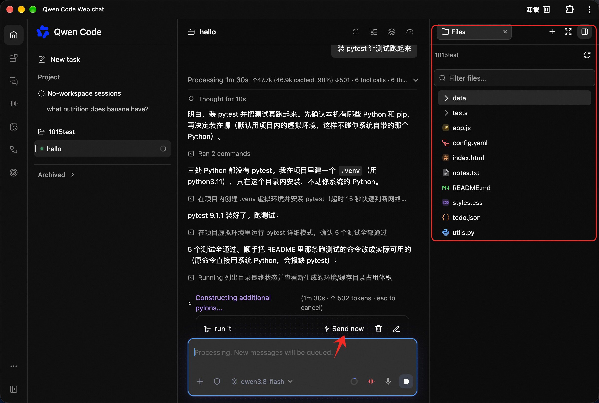 The Files panel on the right of the Web Shell expanded over the whole workspace tree, with the Filter files box, the data and tests directories, and files of every type, plus the Send now button beside a queued message at the bottom