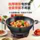 German Craftsmanship Electric Frying Pan Multifunctional Household Electric Hot Pot Cast Iron Rice Cooker Steaming, Cooking, Stewing and Frying All-In-One Plug-In