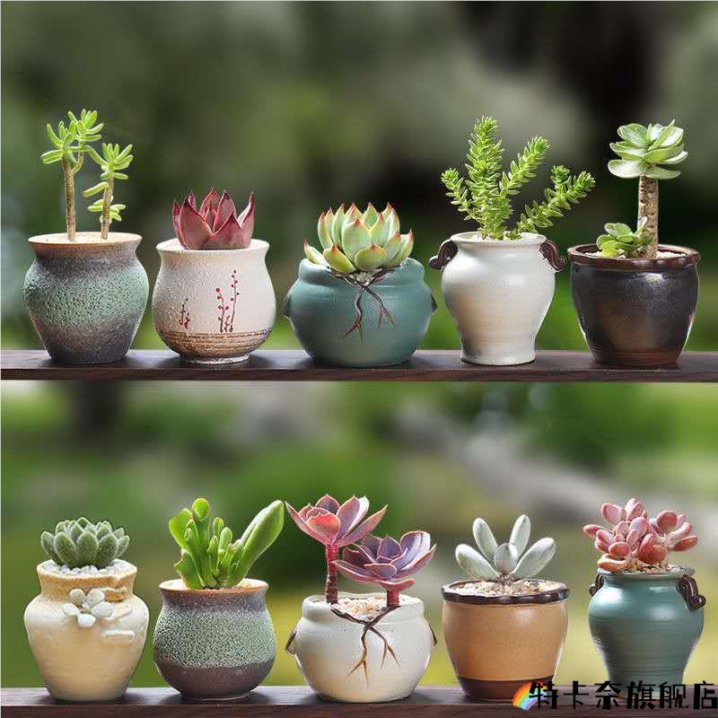 Succulent Flower Pot Ceramic Gardening Ceramic Mini New Product Creative Rustic Pottery Retro Home New Product Porcelain Jar Pot