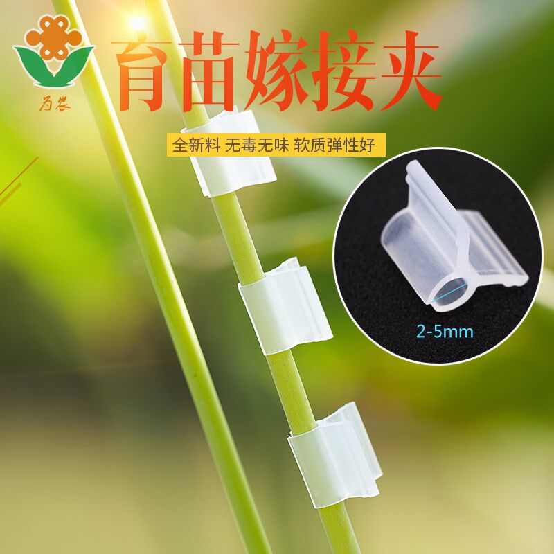 Tomato watermelon cucumber eggplant Watermelon melon pepper and other horticultural flower grafting clip Plastic nursery grafting clip