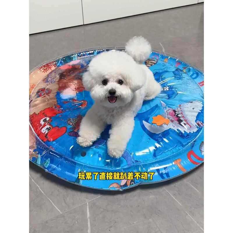 Pet Dog and Cat Water Cooling Mat 2026 Summer Ocean World Anti-Scratch and Bite-Resistant Water Bed Thickened Summer Cooling Water Mat Pet Dog and Cat Water Cooling Mat 2026 Summer Ocean World Anti-Scratch and Bite-Resistant Water Bed Thickened Summer Cooling Water Mat