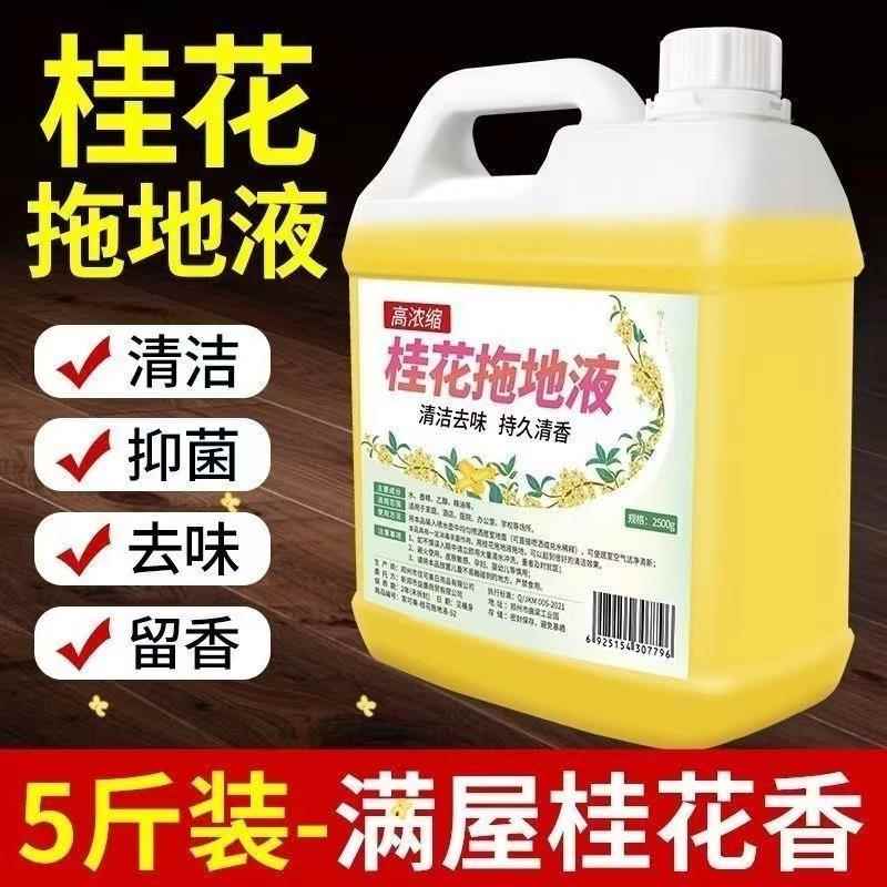 桂花花露水大桶装地板清洁剂：一招解决家居清洁烦恼，除蚊虫异味