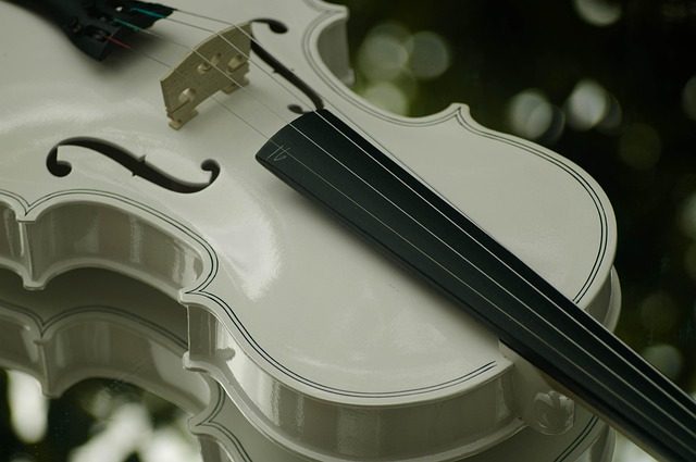 a violin