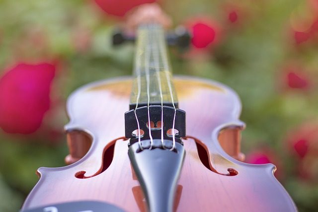 how do i rosin a violin bow