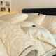 Anti-static and thickened milk velvet in winter four-piece duvet cover Tafu velvet cover naked sleeping sheets bedding