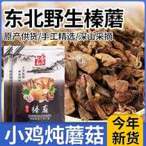 Hazel mushroom diced Northeastern specialty wild dry goods without sand 2023 new arrival without roots and impurities 250g mountain needle Zhenzhen