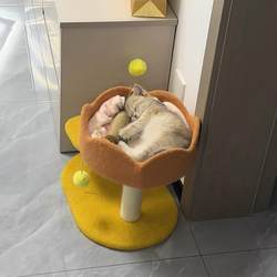 Cat Climbing Frame for Small Apartments, Does Not Take up Much Space, Integrated Cat House, Small Cat Tree, Cat Rack, Cat Toys, Pet Supplies