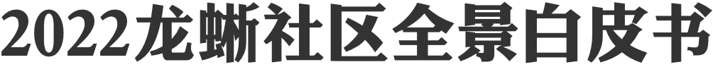 2022 龙蜥社区全景白皮书
