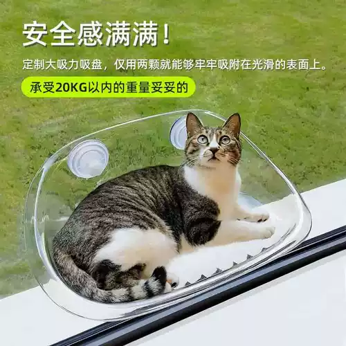 Кошачья подвеска