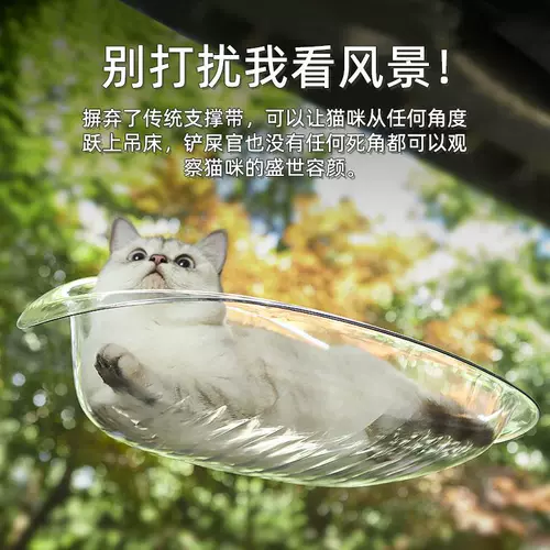 Кошачья подвеска