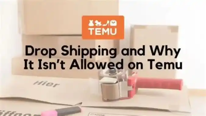 temu dropshipping