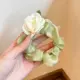1#светло -зеленое большое кишечное кольцо