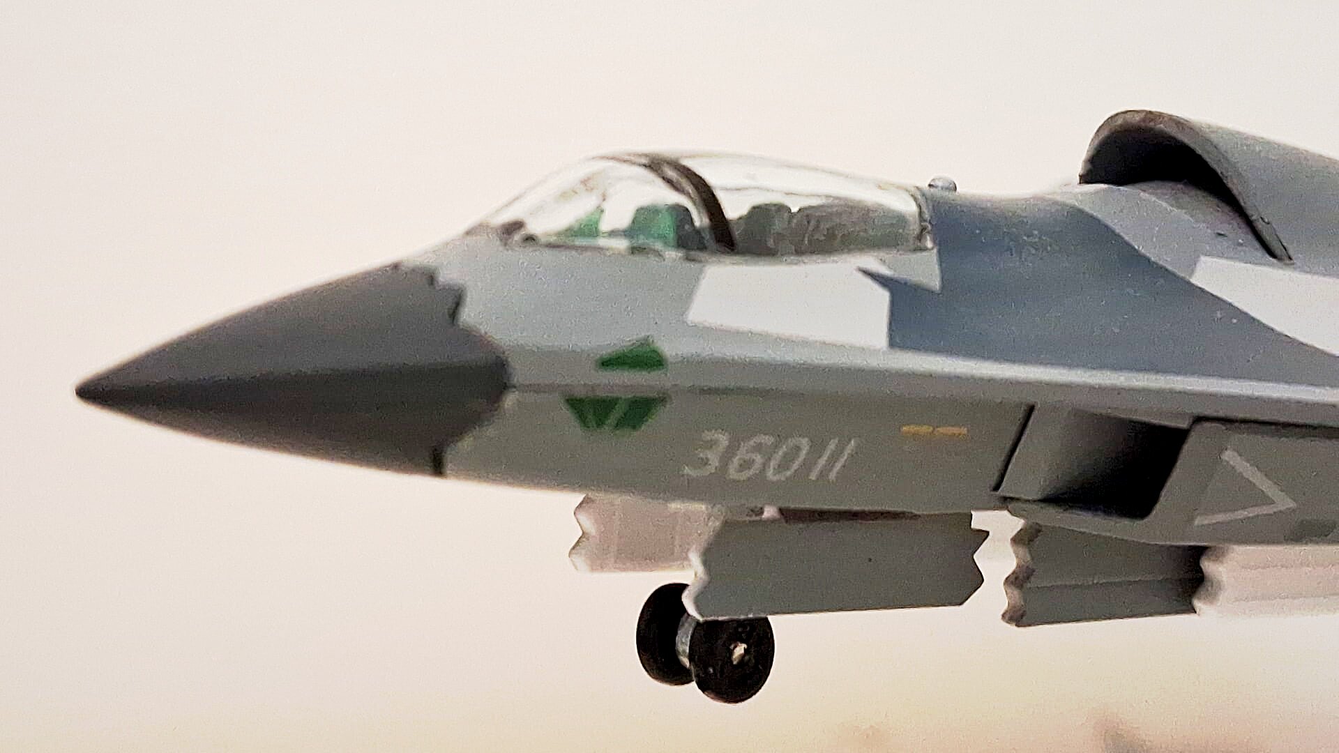 1：144/100歼36飞机模型J50战斗机中国新型六代战机银杏叶成品-淘宝网