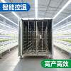 Seedling machine, fully automatic seedling machine, intelligent seedling equipment, commercial seedling machine