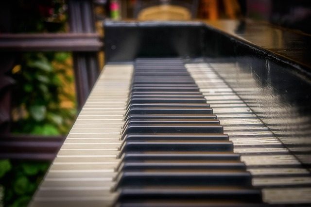 does bill murray play piano