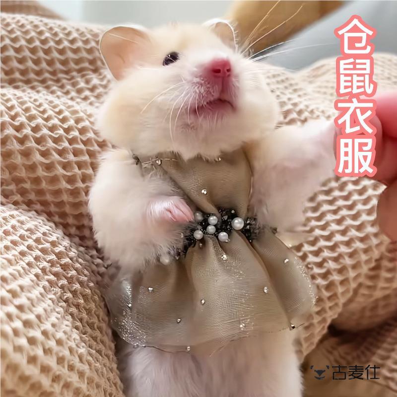 仓鼠衣服四季通用服装：给小宠物的温暖时尚，荷兰猪、金丝熊、花枝鼠也能美美哒！