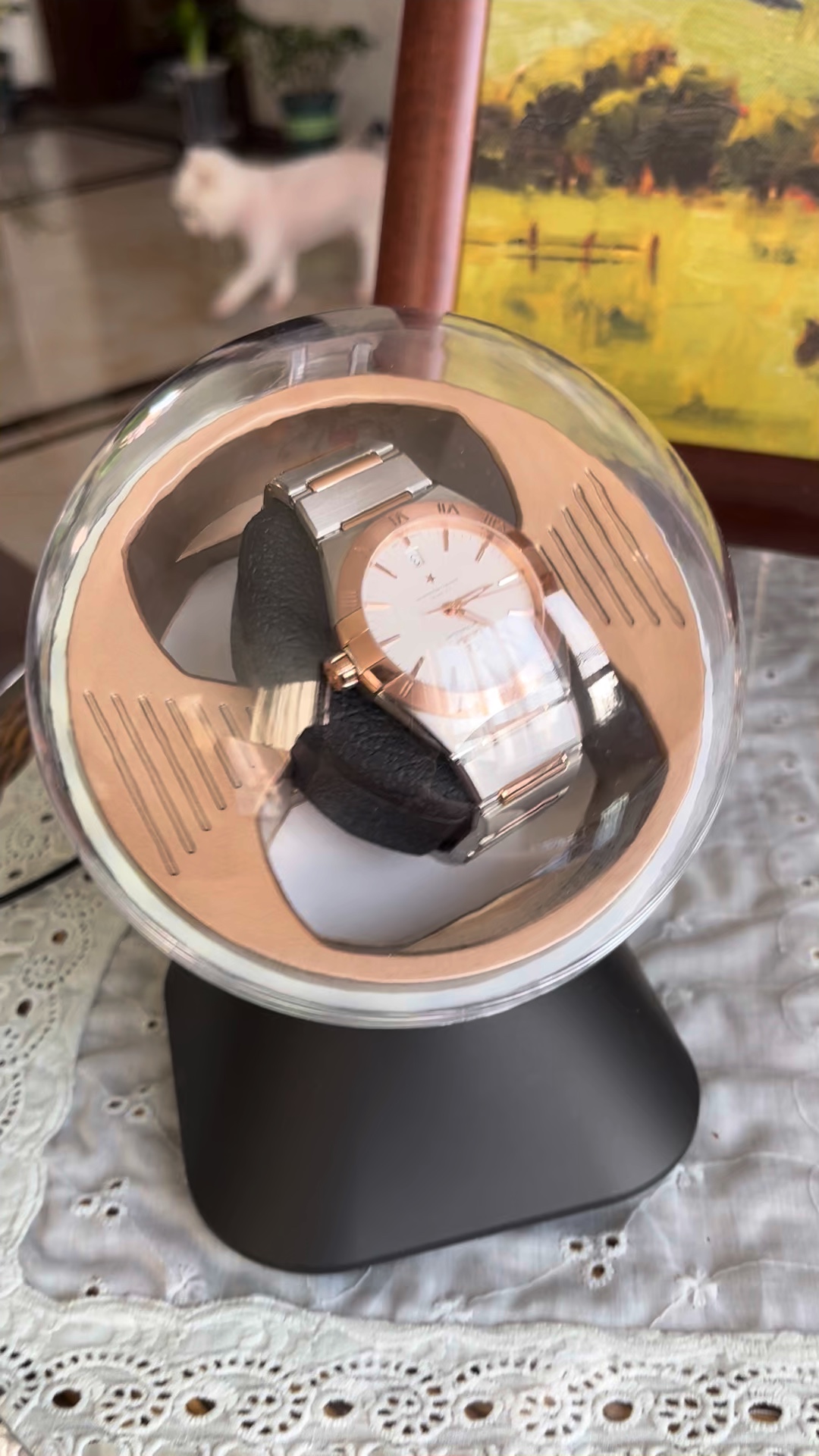 Auto Watch Winder Black photo review