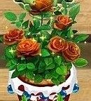 QQ Games Rose Town Coffee Roses Can Be Picked Off Snow Baby 3 9 3 10 Baby Experience Charm