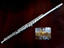 Butterfly card 17 holes open pore method button silver plated long flute