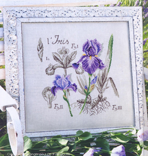 ●Hu Lili cross stitch ●French DMC kit purple iris with 3D 5D precision printing
