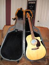 ★Where people dream★American Hull Artist Series folk guitar Seagull Portrait