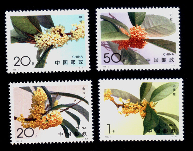 Chroniche stamps 115 1995-6 Osmanthus brand new product 4 full