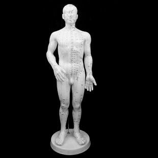 Body Acupoint Model Meridians Model Chinese Medicine Acupuncture Model Human Body Teaching Model Male Female