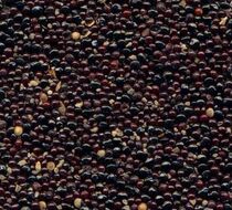 Chinese herbal medicine Chinese herbal medicine Qingweizi 500g