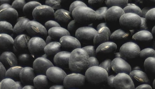 The taste of Wenzhou's hometown Wenzhou specialties Nanxijiang farmers grow their own black beans
