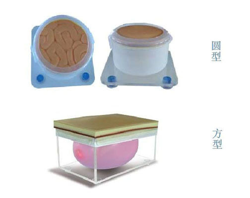 剖腹手术切开缝合模型/缝合模块练习/开腹练习LV20