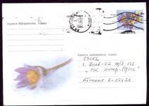 Ukrainian actual postal postage-photo flower 2001