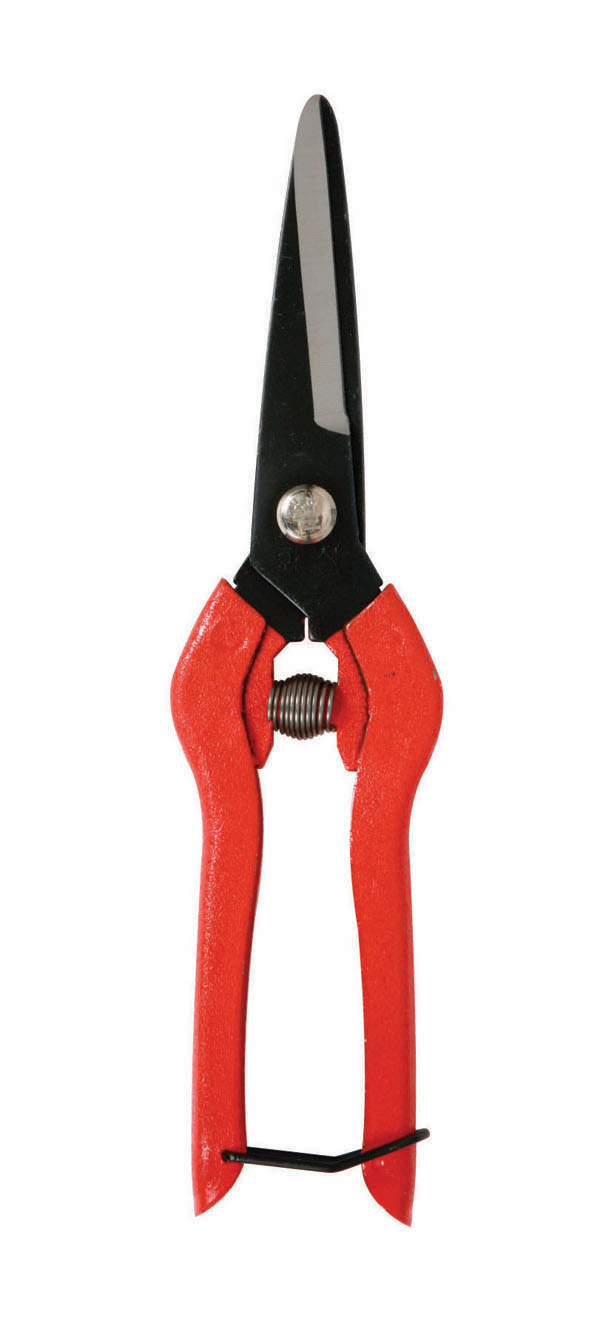 Flower Letter Scissors South Korea Scissors Korea Flower Letter Scissors P-130 Scissors South Korea P-130 Scissors