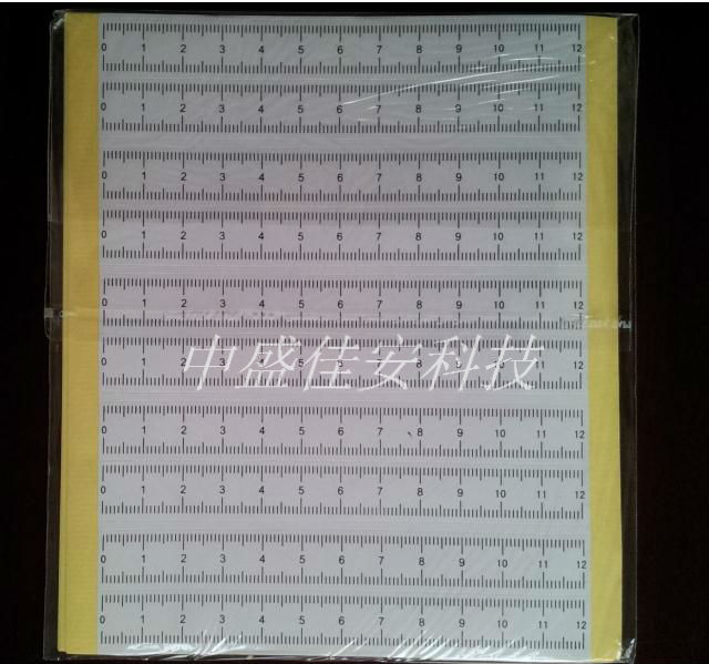 12cm White Adhesive Proportional Scale Photographic Proportion Ruler