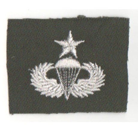 New Vietnam War Color Skill Badge------Intermediate Parachute