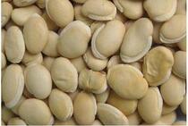 Chinese herbal medicine Chinese herbal medicine white lentil 500g