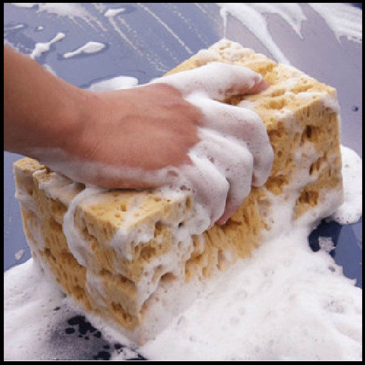Car wash sponge for automobile home cleaning large dense foam coral sponge washing cars sponge foam sponge