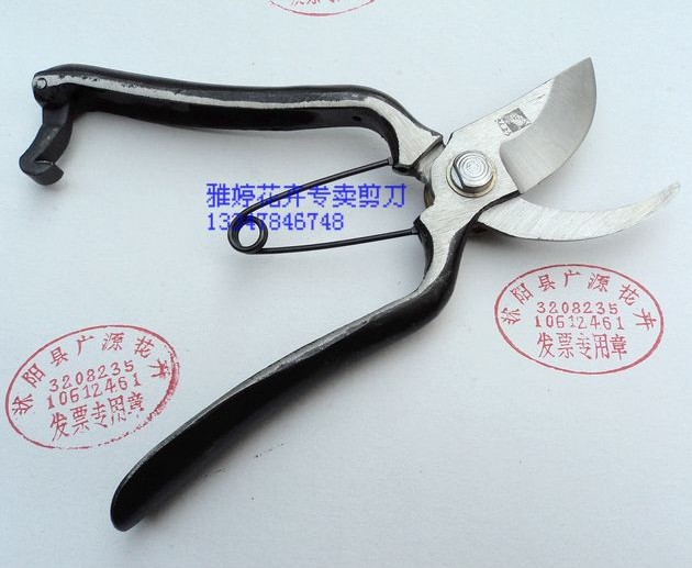 Golden Leaf Card Scissors Fruit Tree Sheen Cut Off Whole Cut Prunes Pruning Garden Sheared Cut Flowers Cut Flowers Cut Flowers