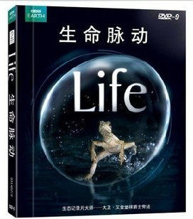生命脉动 精装4DVD BBC Life