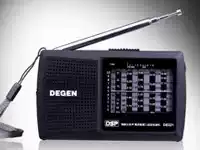 Degen DE321 pointer Radio