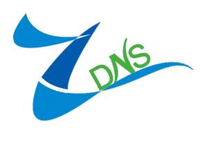 DNS Management System Domain Name Batch Resolution