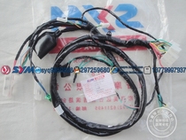 SYM Sanyang locomotive Xiamen apricots Sanyang XS125T-17 luxury master GR125 main cable full car line