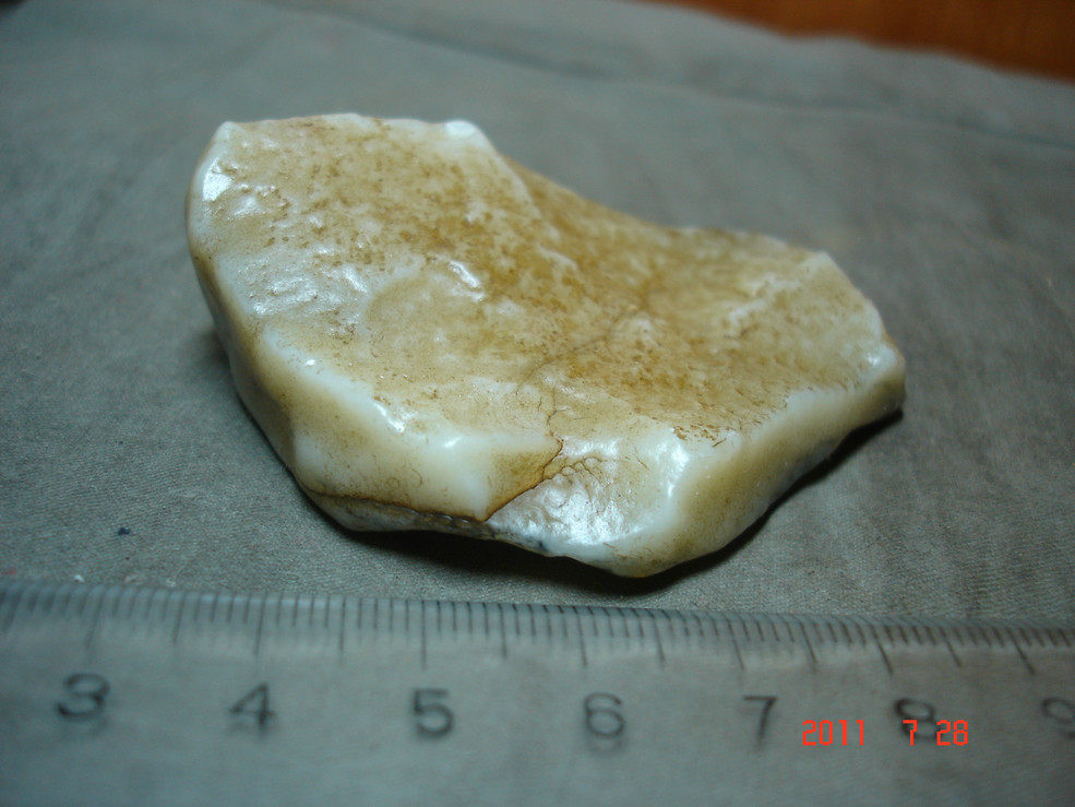 482 Rob Po protein stone