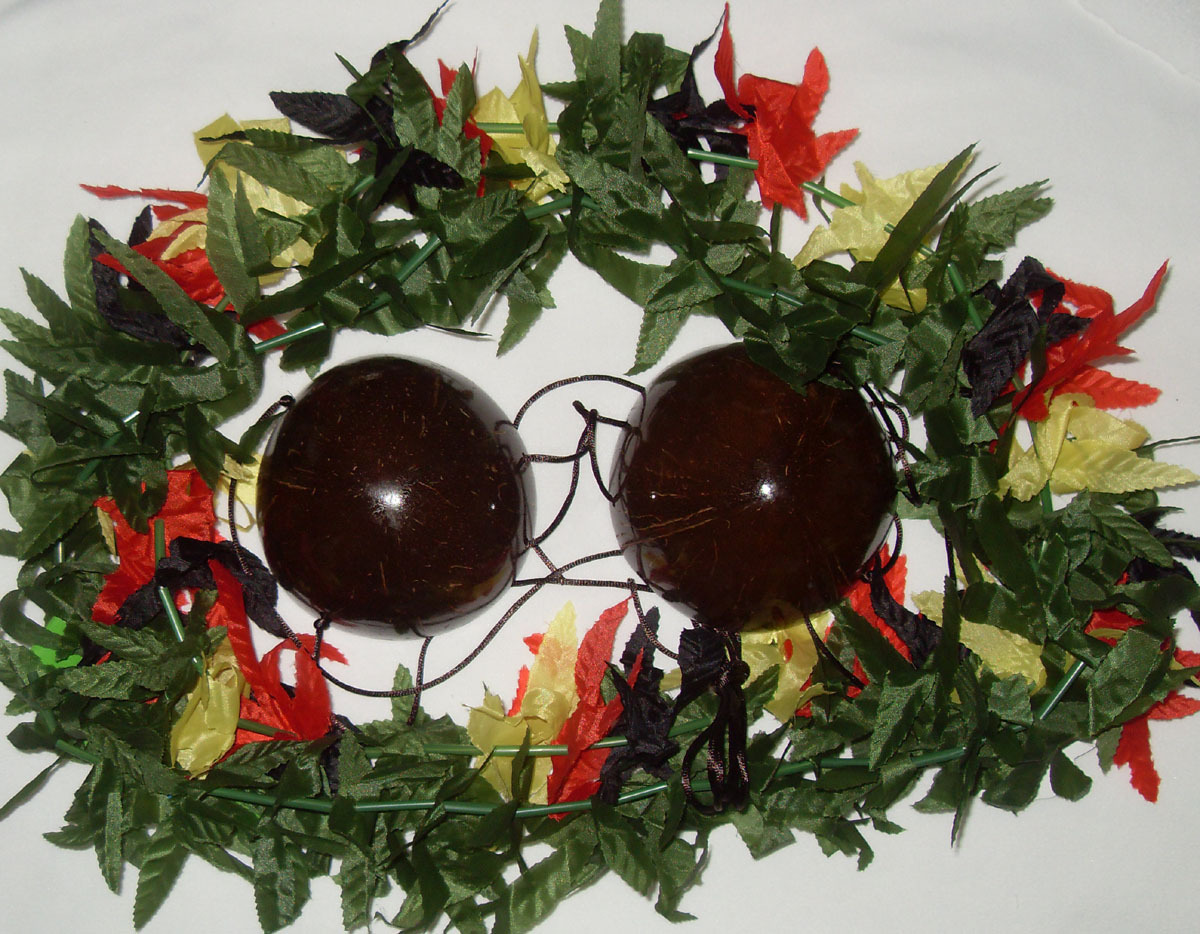 Flush Drilling Special Price Spring Summer Clothing BRA Coconut Shell Bra Hawaii Lingerie Grass Skirt Dance Accessories Wedding Celebration