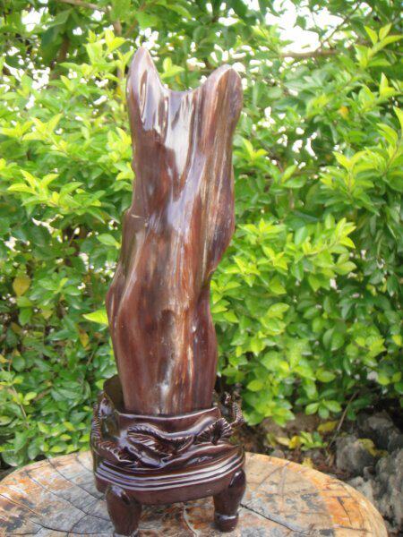 Lucky cat pictographic shape Myanmar tree fossil wood jade ornaments personality fashion 92160#(Shan Xi Qi Gallery)